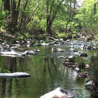 Santa Rosa Creek